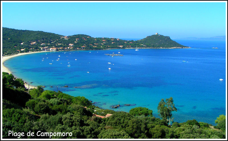 campomoro