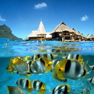  BORA BORA