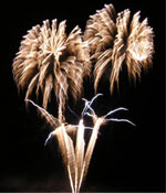  FEUX