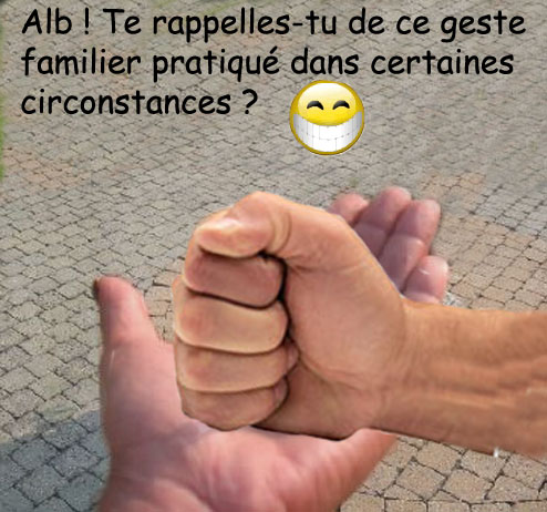 BISQUE RAGE DE MICHKA