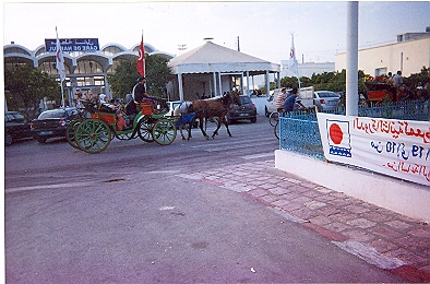 QAROUSSA NEBLIE