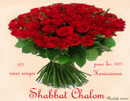 Shacha 070629