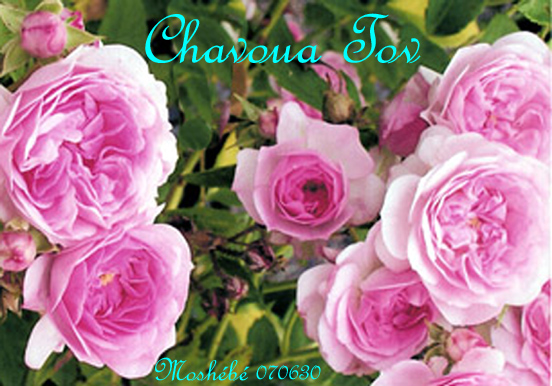 Shavoua Tov 060730