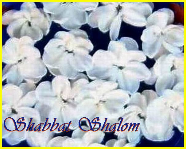 Shab Shal 030807