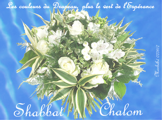 shacha 070817