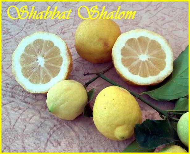 Shabbat Shalom 240807