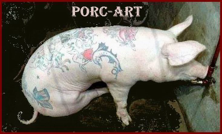 porcArt.jpg
