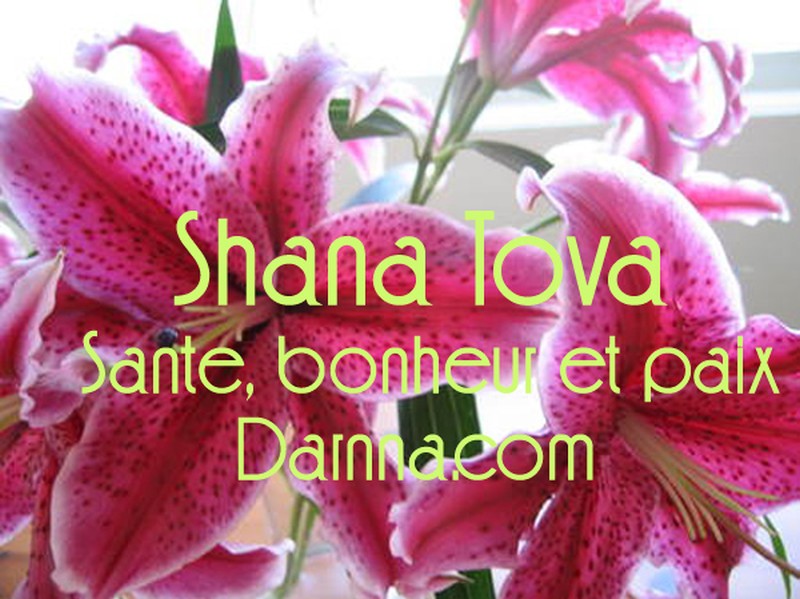 SHANA TOVA BONNE ANNEE SFAXIENS [800x600].jpg