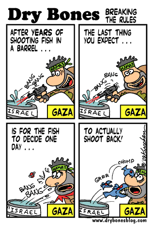Fish-Gaza-D09104_2-090109.gif