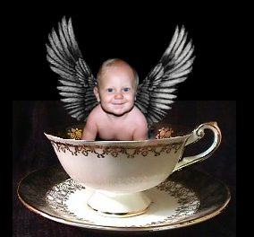 angelcup2.jpg (14383 bytes)