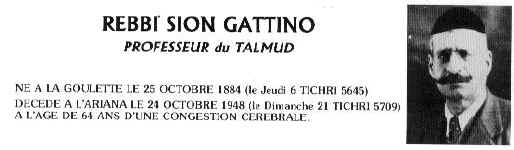 ariana rebbi gattino.hqx (17255 bytes)