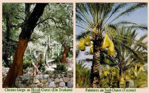 Plus de 40 photos de la Tunisie, après 40 ans, par Avraham – 6