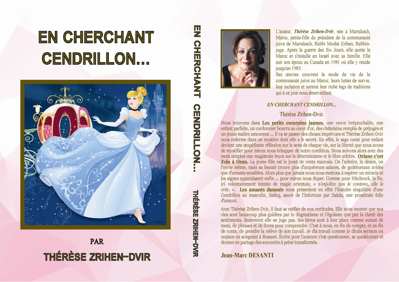 en-cherchant-cendrillon-couverture.JPG