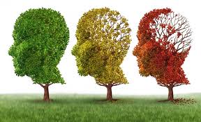 9 habitudes que vous devez prendre si vous souhaitez éviter la démence ou l’Alzheimer alzeihmer.jpg