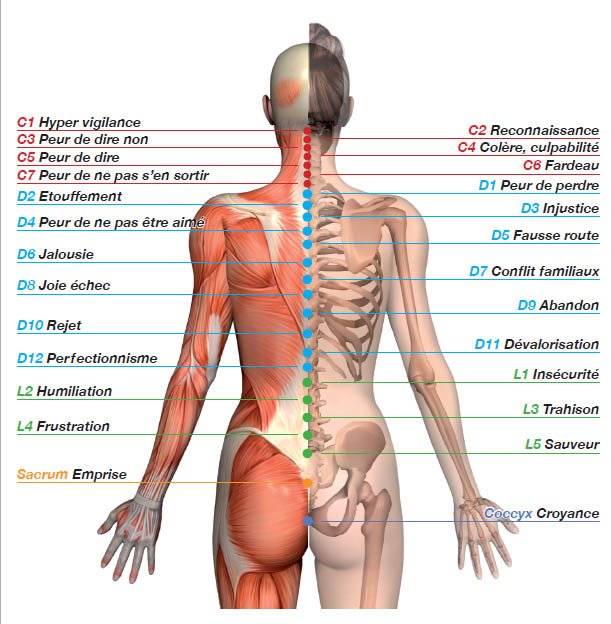 Attention : Les émotions refoulées entraînent la maladie decodage-emotions.jpg