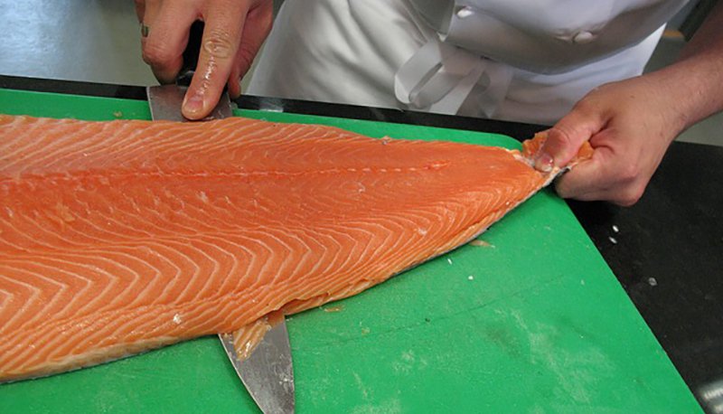 Le saumon d’élevage – l’un des aliments les plus toxiques au monde salmon-749098_640.jpg