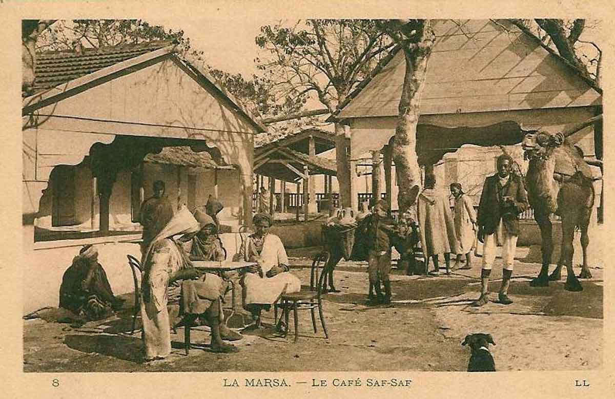 Une histoire du Saf-Saf marsa_safsaf_28.jpg