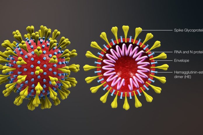 Coronavirus - La fin du Monde n’aura pas lieu par Eugène Berg ancien Ambassadeur corona-virus-696x463.jpg