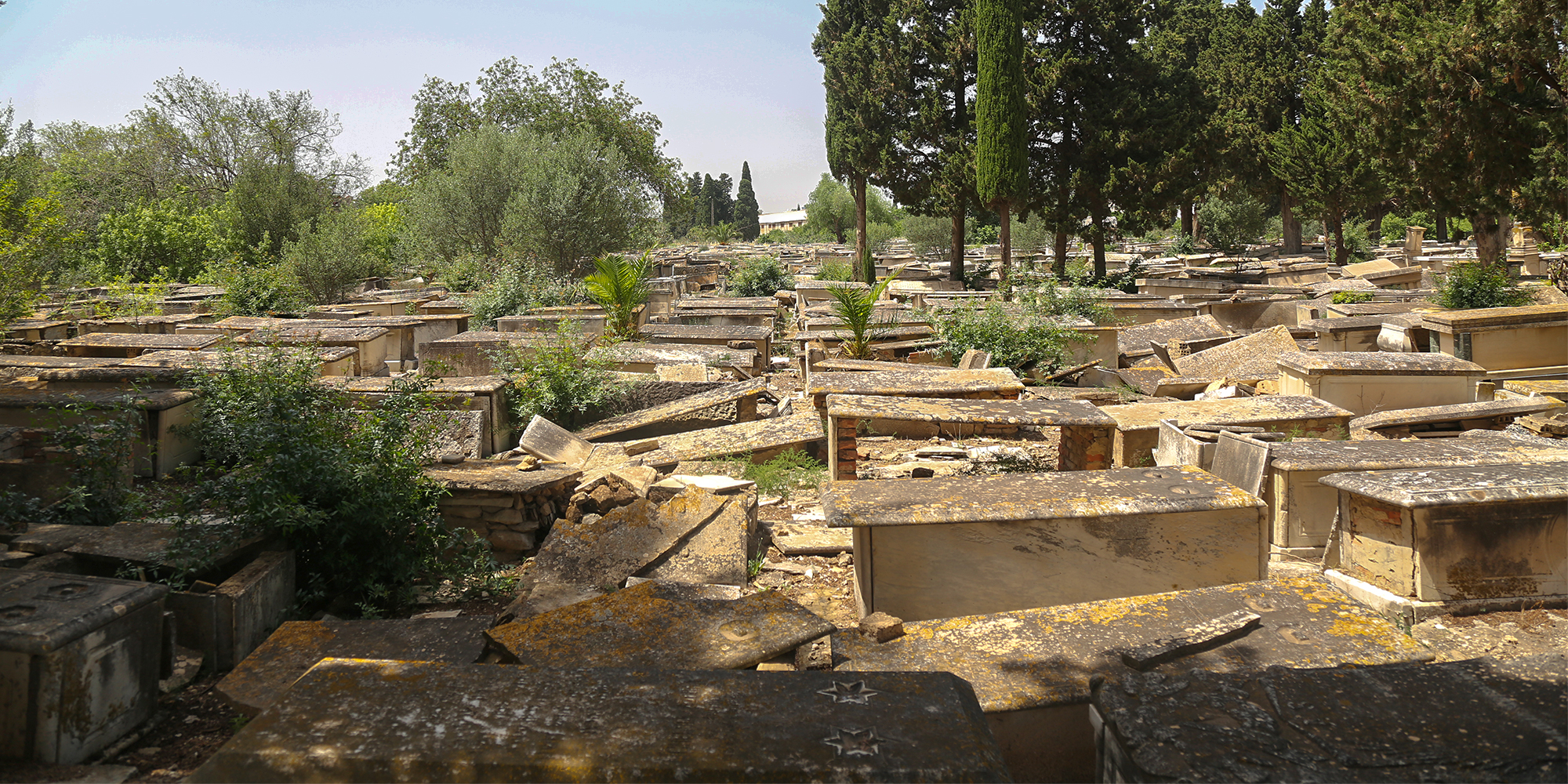 bourjel-17-2000px.jpg