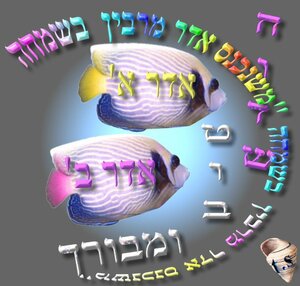 adar2-1.jpg