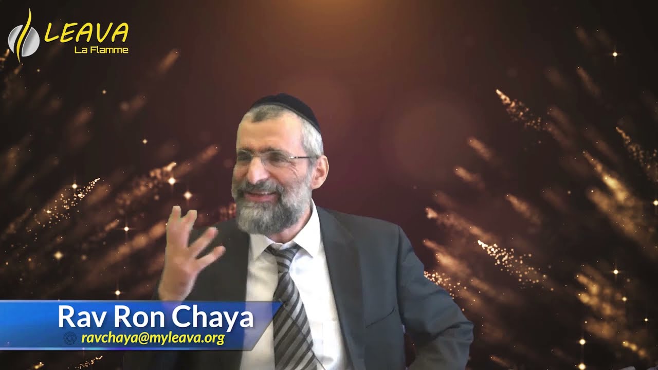 chaya.jpg