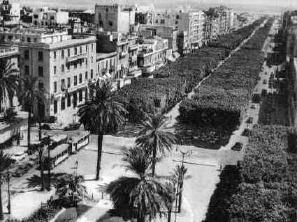 l’histoire des Juifs de Tunis