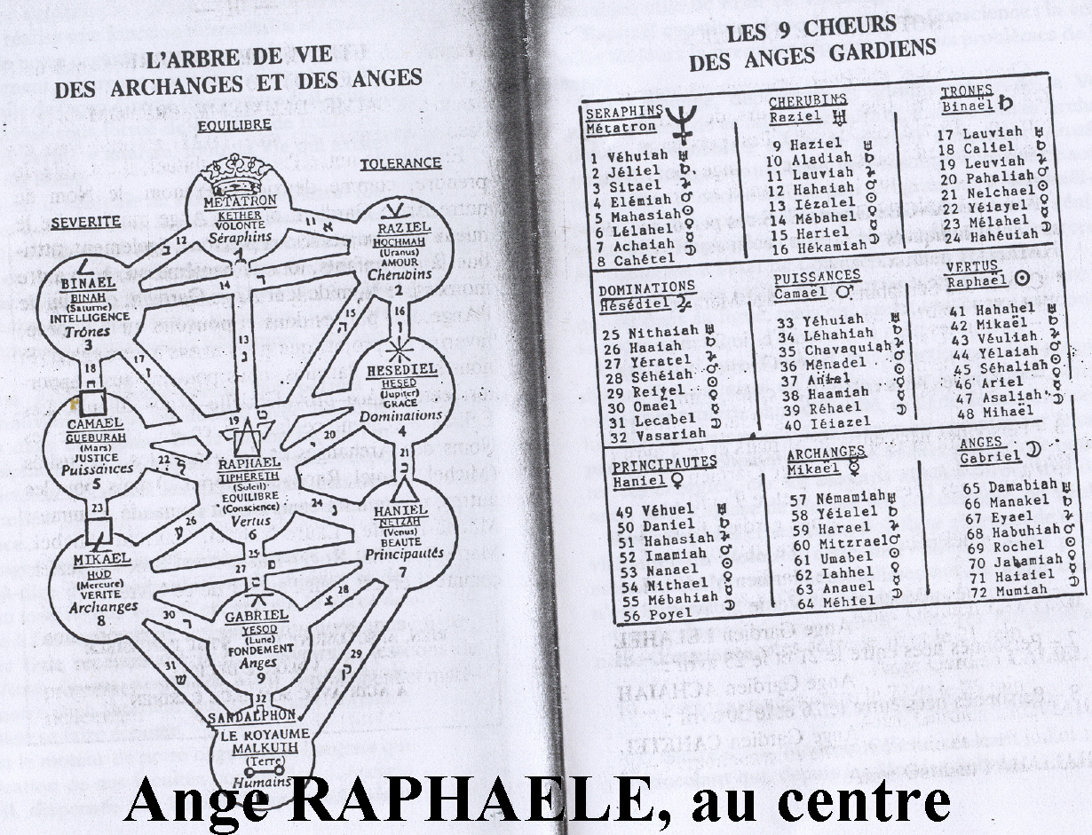 Archives Juillet 2004 : Archive jusqu’au 27/juillet/2004