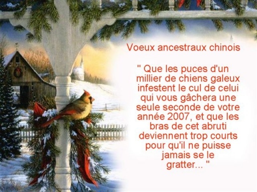 Commentaires Janvier 2007 : Archive jusqu’au 03/janvier/2007