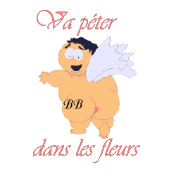 Archive Fevrier 2007 : Archive jusqu’au 15/février/2007