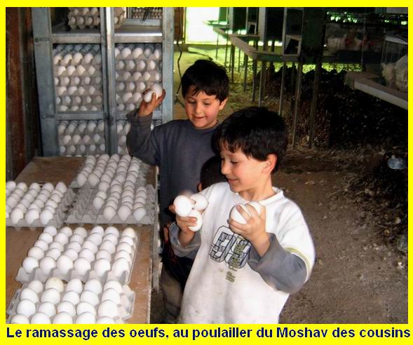 Commentaires Avril 2005 : Archive jusqu'au 27/avril/2005 Commentaires Avril 2005 : Archive jusqu’au 27/avril/2005