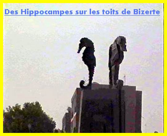 Commentaires Aout 2005 : Archive jusqu’au 10/août/2005