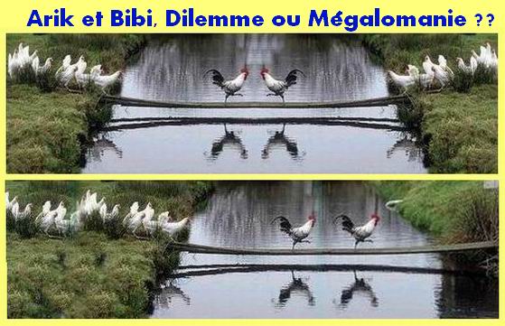 Commentaires Septembre 2005 : Archive jusqu’au 01/septembre/2005