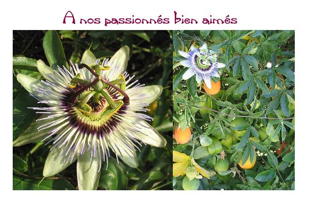 Commentaires Juin 2007 : Archive jusqu'au 16/juin/2007-1 Commentaires Juin 2007 : Archive jusqu’au 16/juin/2007-1