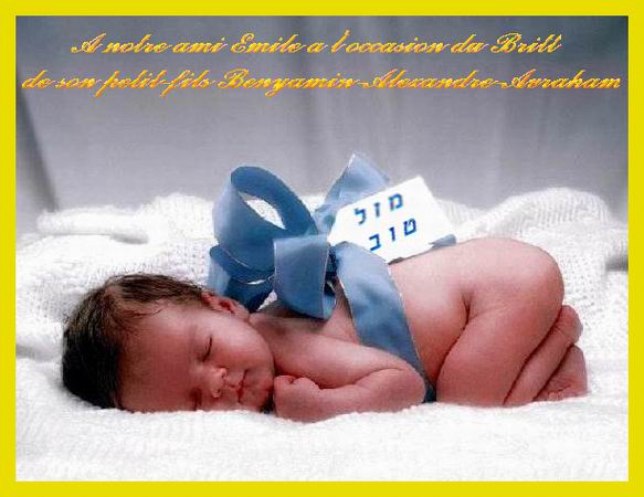 Commentaires Novembre 2005 : Archive jusqu’au 26/novembre/2005