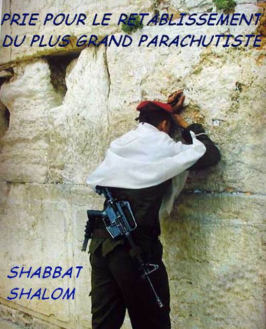 Commentaires Janvier 2006 : Archive jusqu’au 08/janvier/2006