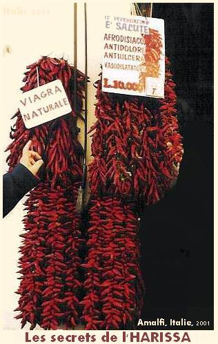 Commentaires de Janvier 2004 : Archive jusqu’au 05/janvier/2004