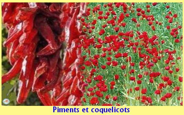 Commentaires de Fevrier 2004 : Archive jusqu'au 02/février/2004 Commentaires de Fevrier 2004 : Archive jusqu’au 02/février/2004