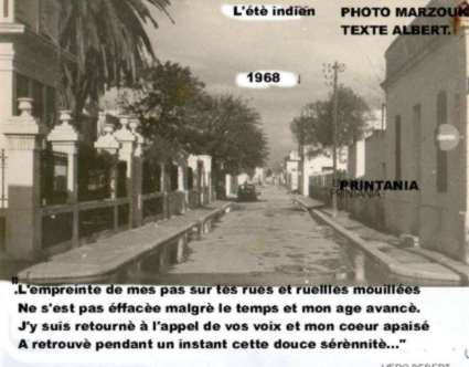 Le dernier de La Goulette, par Albert Simeoni