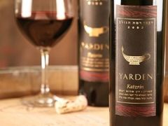 La qualité du vin israélien ne cesse de surprendre, par Myriam Ambroselli