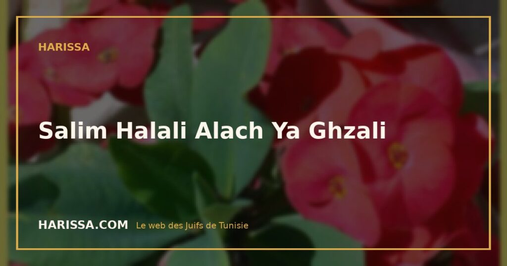 Salim Halali Alach Ya Ghzali