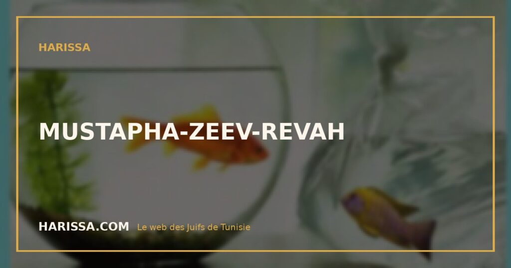 MUSTAPHA-ZEEV-REVAH