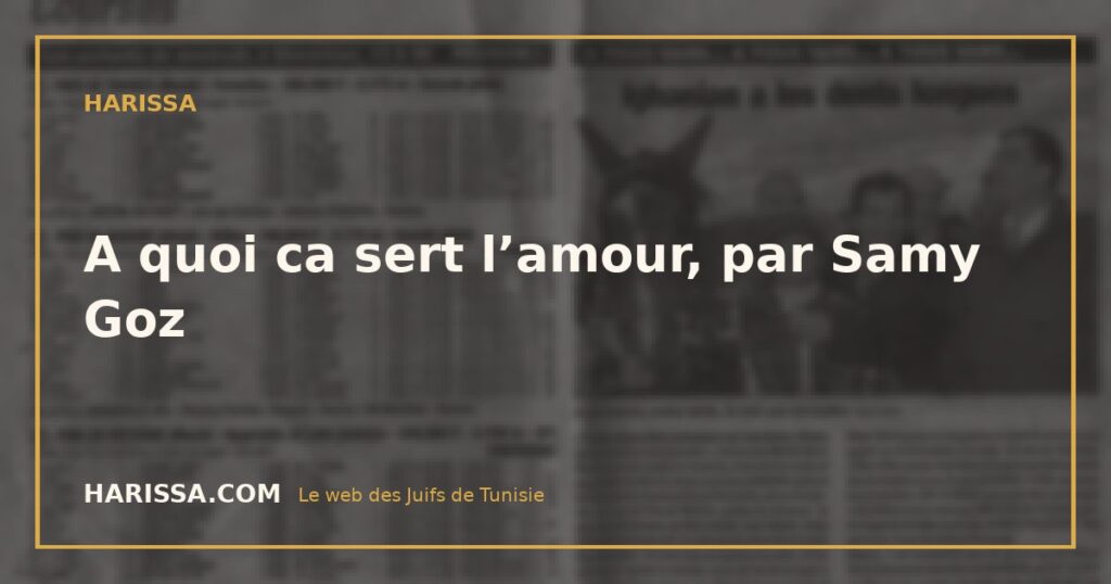 A quoi ca sert l’amour, par Samy Goz