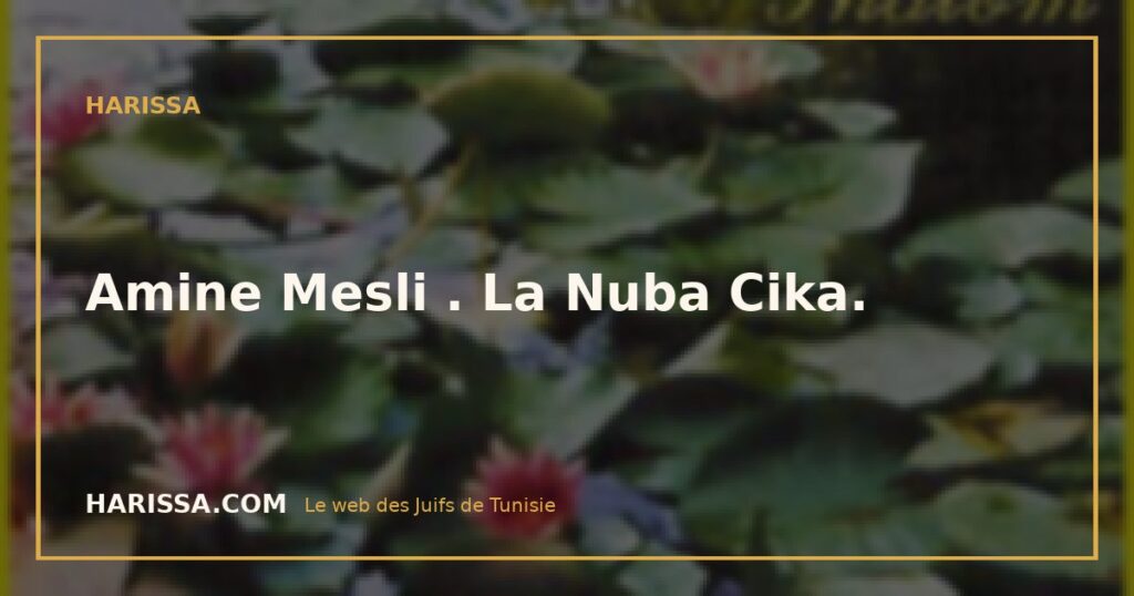 Amine Mesli . La Nuba Cika.