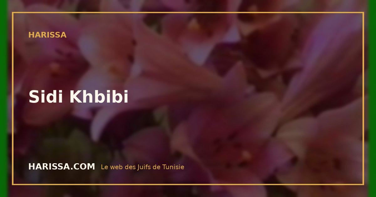 Sidi Khbibi