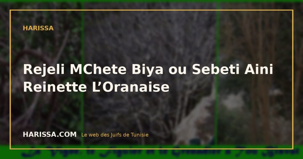 Rejeli MChete Biya ou Sebeti Aini Reinette L’Oranaise