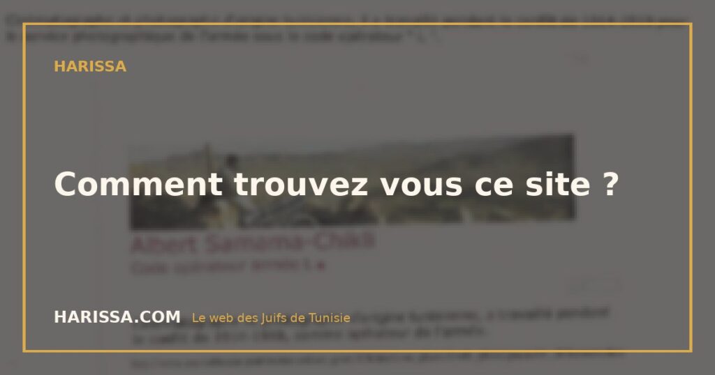 Comment trouvez vous ce site ?