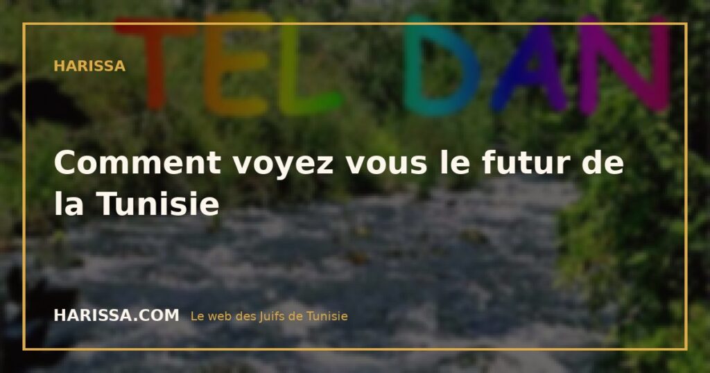 Comment voyez vous le futur de la Tunisie
