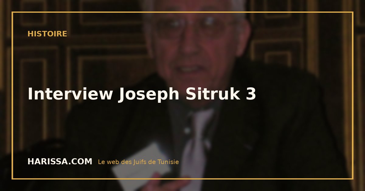 Interview Joseph Sitruk 3