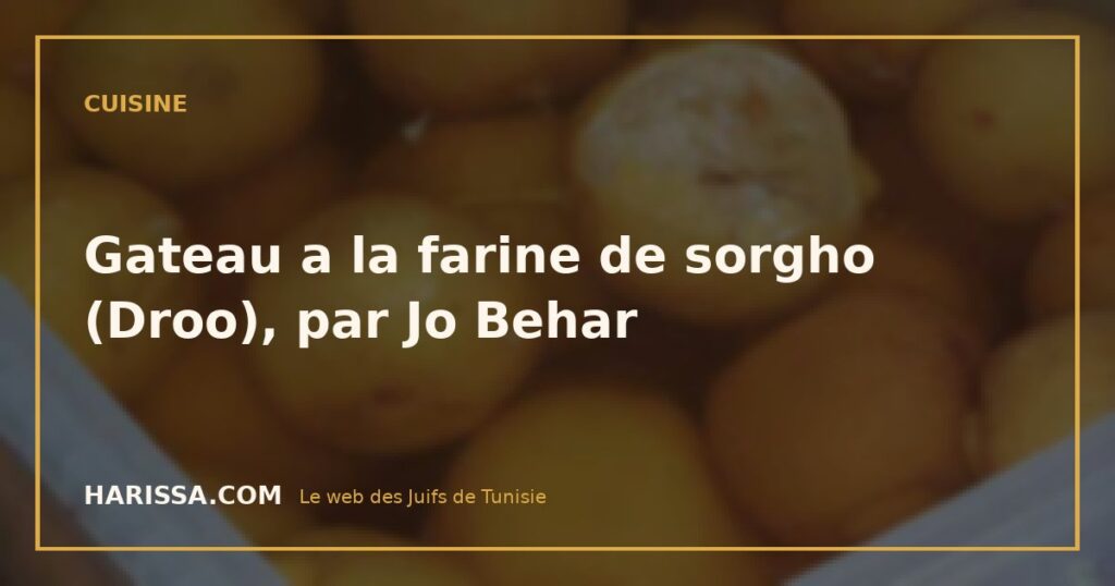 Gateau a la farine de sorgho (Droo), par Jo Behar