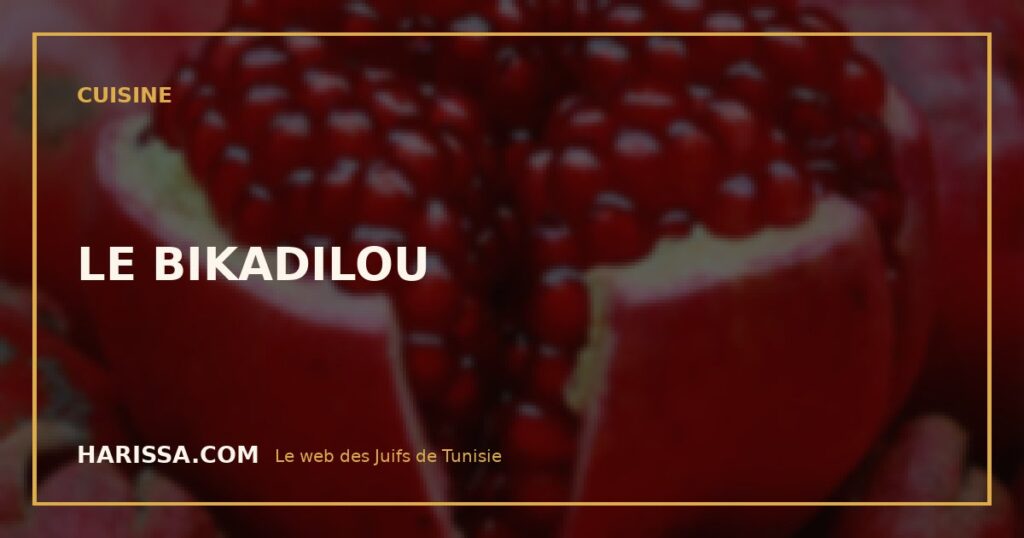 LE BIKADILOU